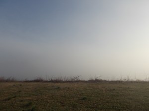 Kennedy Center DSCN2162