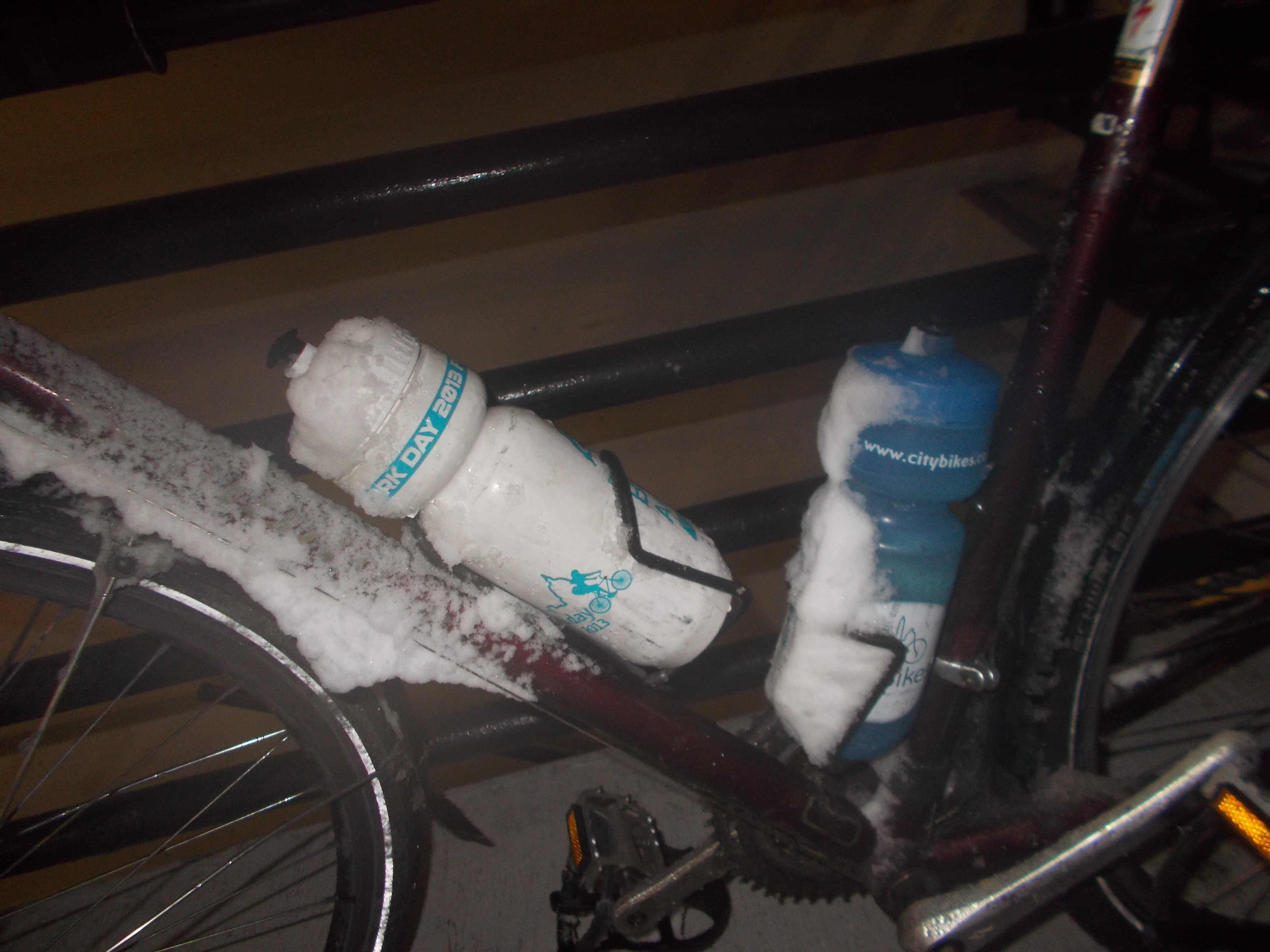 Springtime in Washington