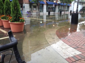 Rats. I forgot my snorkel.