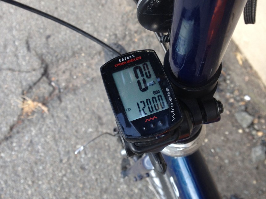 Chico Escuela and Little Nellie Turns 12