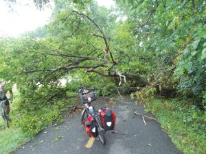 Little Nellie was not amused.