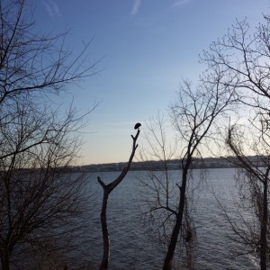 16821270658_b0594df901_z