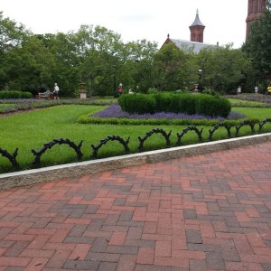 18567710545_64bba73749_z