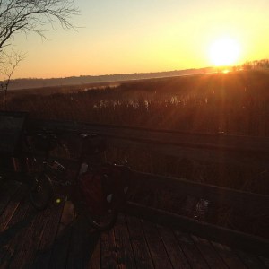 22980403253_ddaa6ca6b5_z