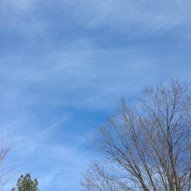 23980267483_14949ae00f_z