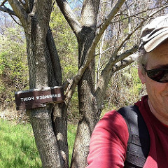 25859091954_aae299f766_m