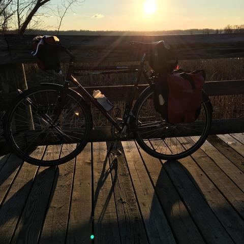 long-shadows-2-13-2017